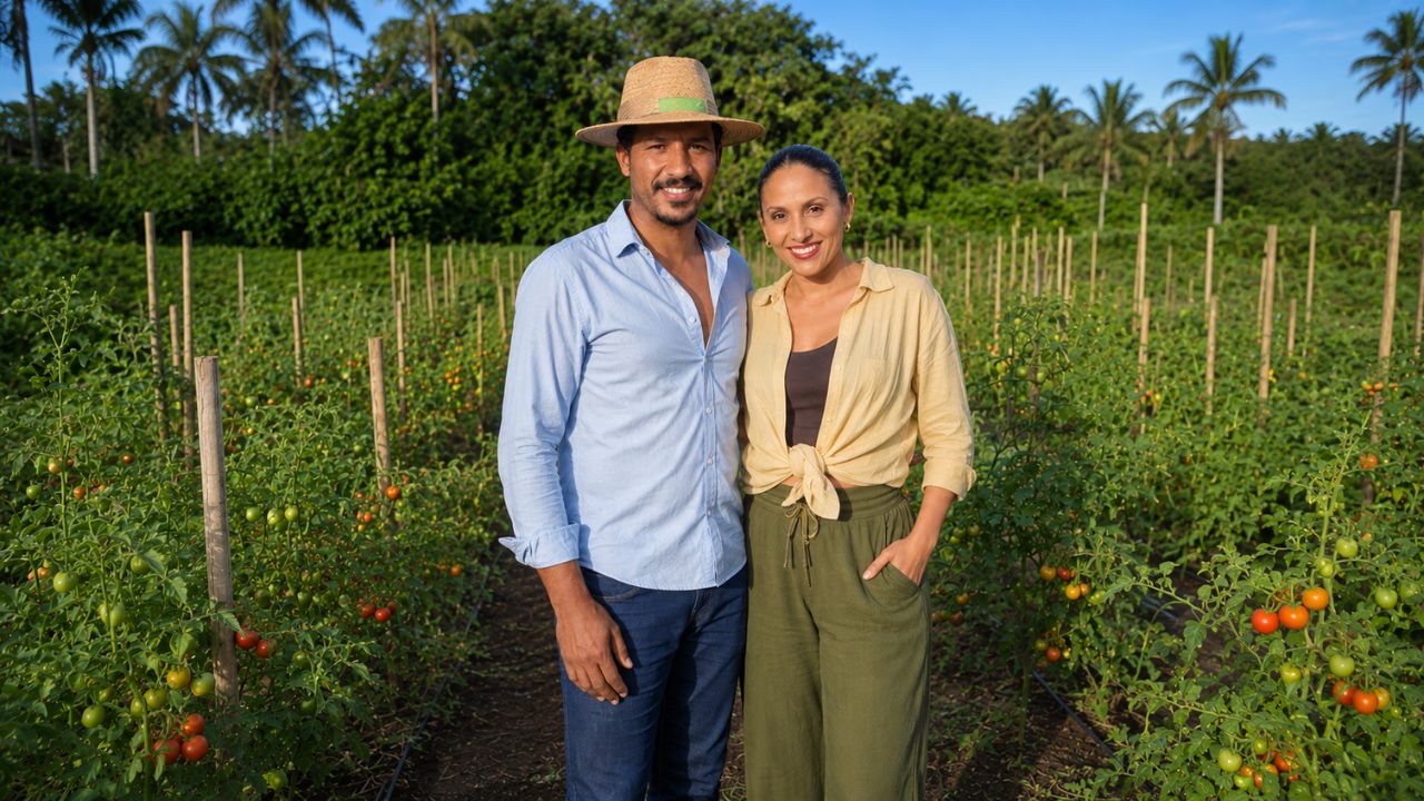 Produção orgânica em Ibiporã abastece merendas escolares após advogado deixar carreira corporativa e investir em estufas, rotação de culturas e venda direta.