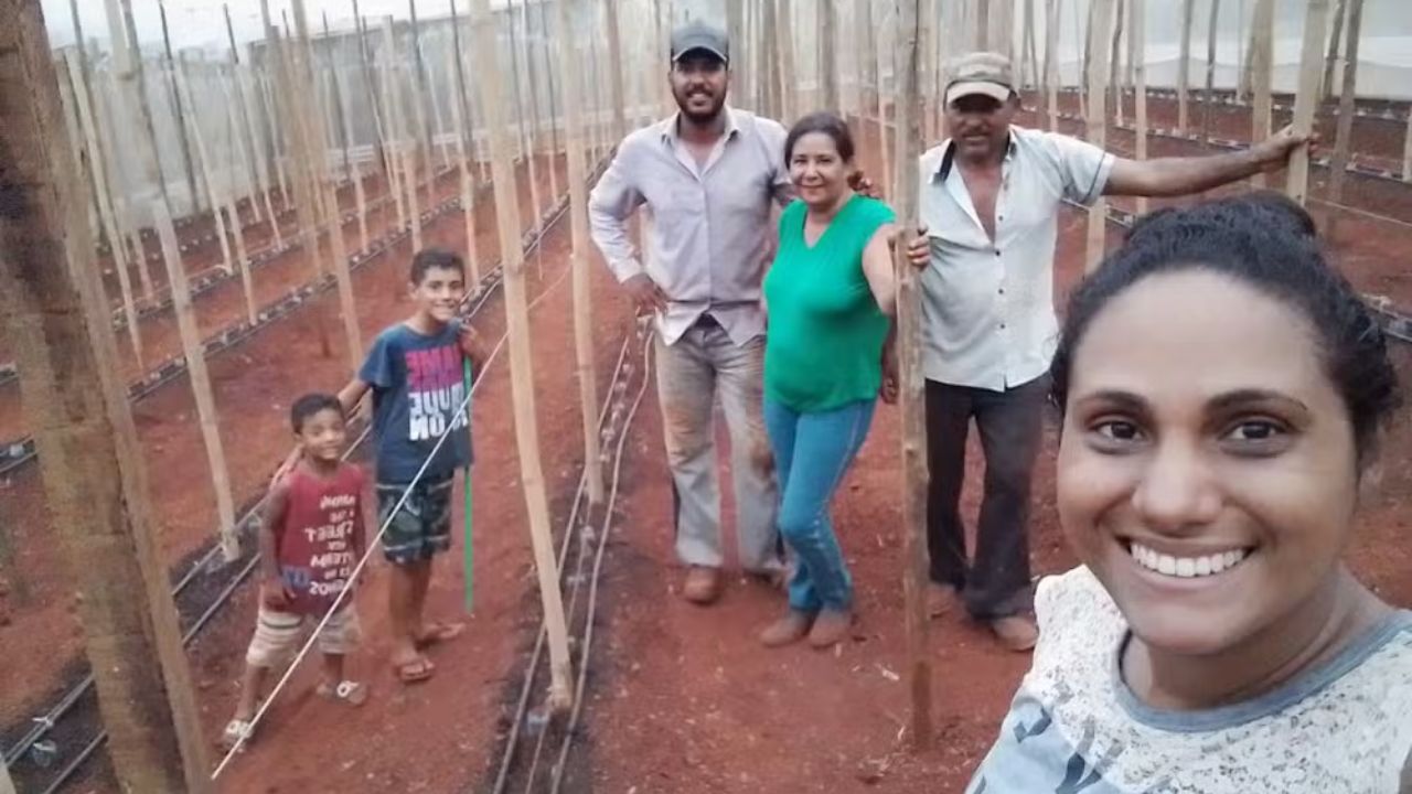 Produção orgânica em Ibiporã abastece merendas escolares após advogado deixar carreira corporativa e investir em estufas, rotação de culturas e venda direta.