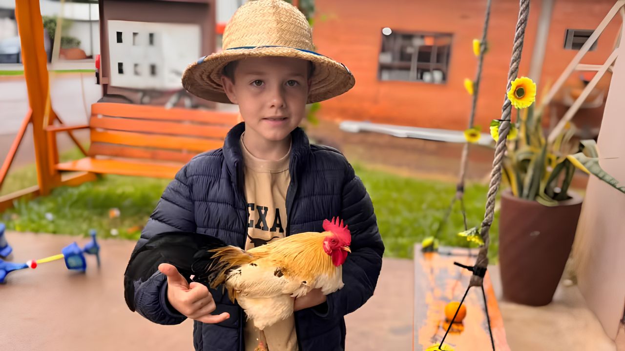 Conheça a história de Luiz Miguel, que trocou sua coleção de carrinhos por garnizés e hoje cuida de mais de 20 aves em Santa Catarina.