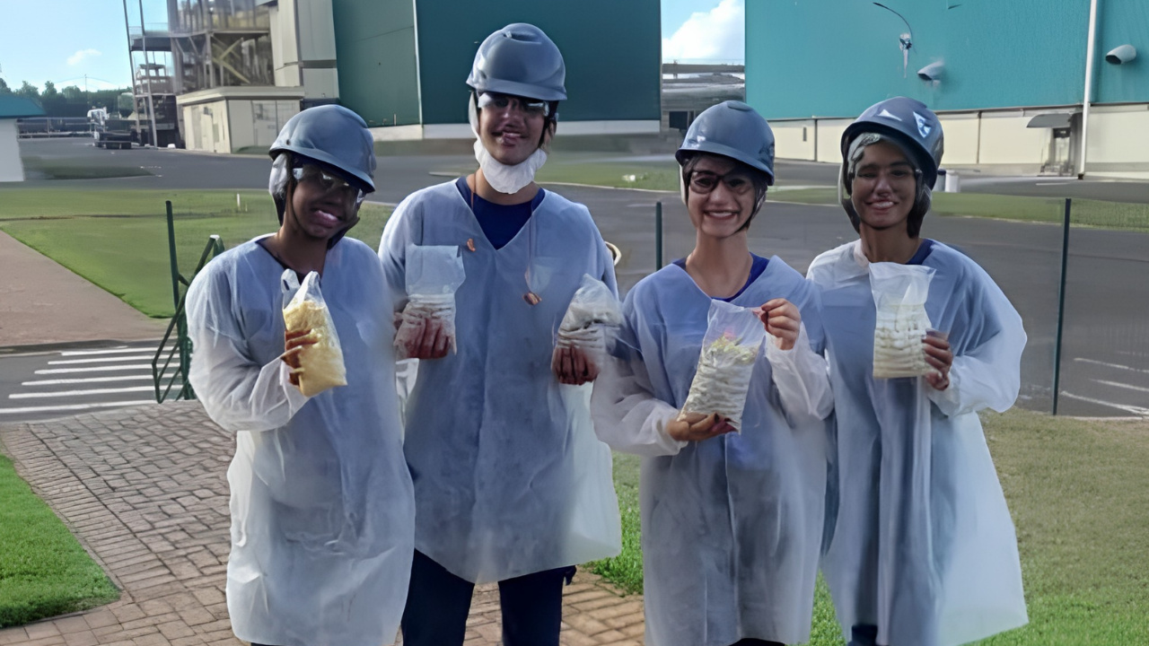 Conheça o Bioprotect, o bioplástico paranaense que conquistou o segundo lugar na FECCI 2025 ao unir resíduos de milho e sementes que brotam na terra.