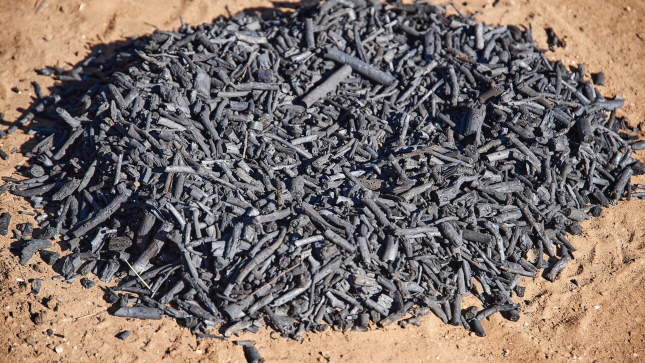 Pedaços e grânulos de biochar (carvão feito de biomassa). (Imagem ilustrativa)