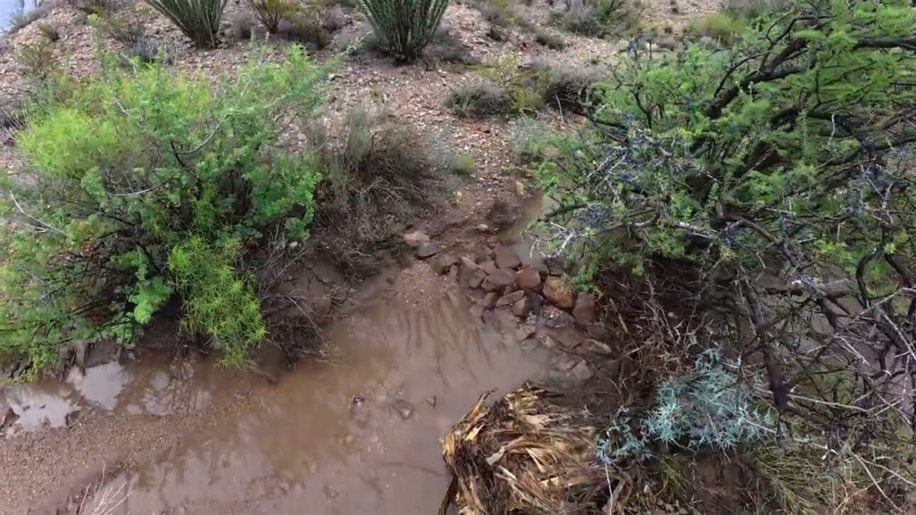 Homem capta 15 mil galões de água da chuva numa enxurrada e transforma deserto em floresta com diques e barraginhas; veja as estruturas
