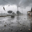 Chuva de peixe durante tempestade intensa deixa animais espalhados em rua próxima a um rio no Brasil.