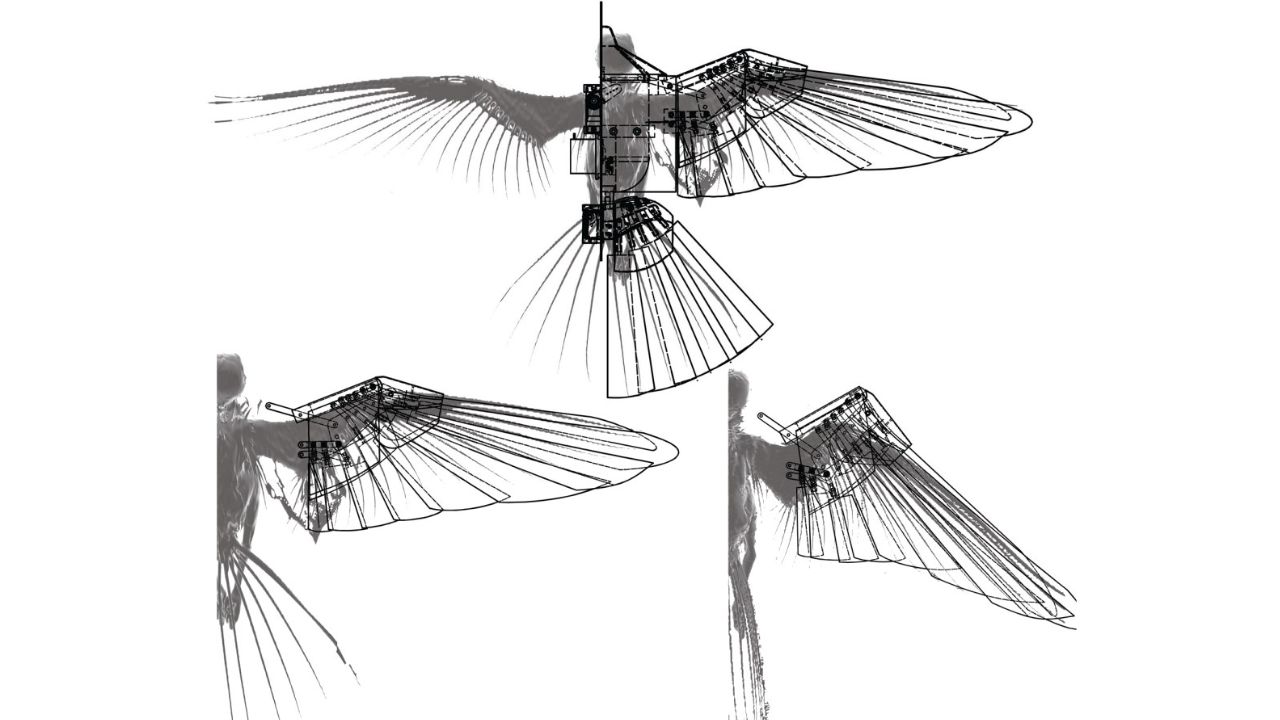 Pesquisadores desenvolveram um pássaro robótico inspirado no falcão para resolver problemas de estabilidade aérea em ambientes urbanos e turbulentos.