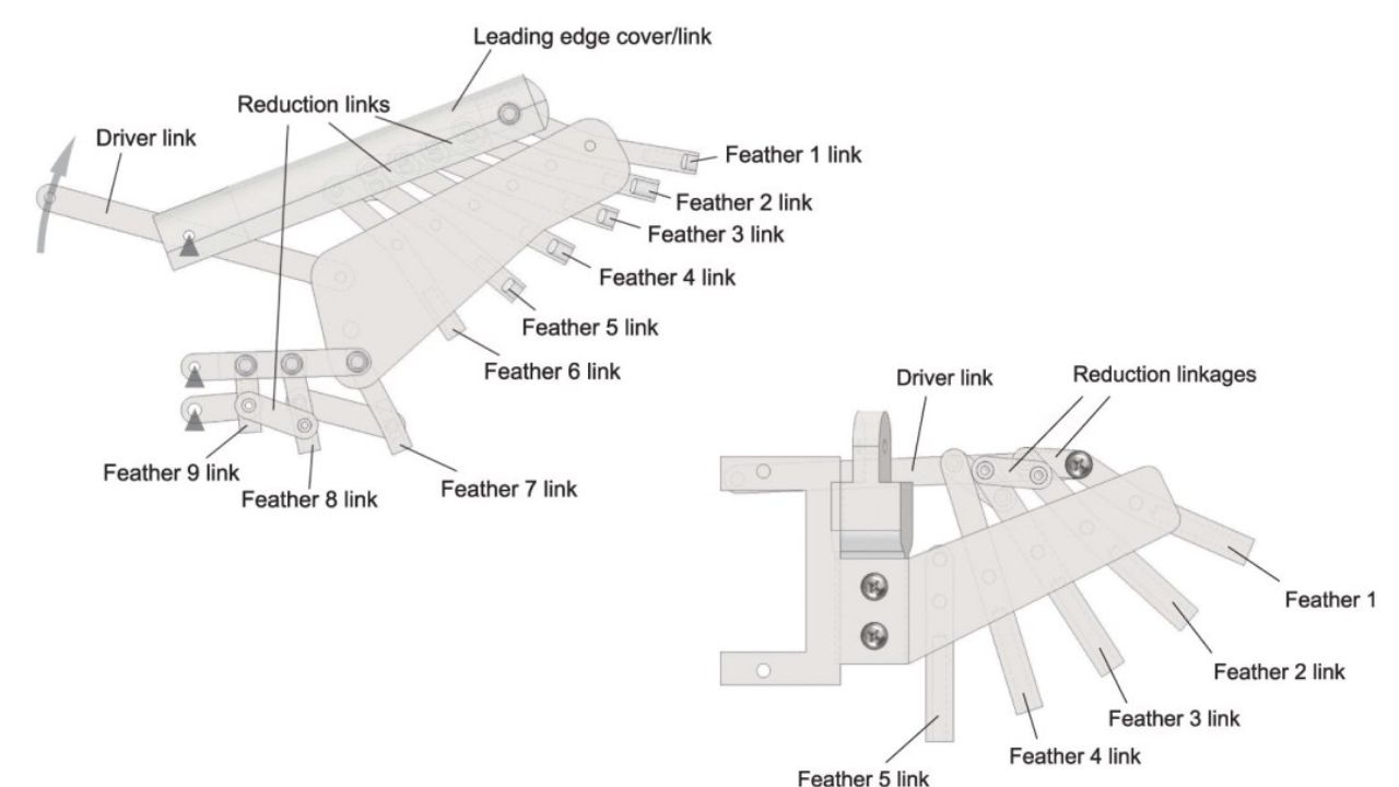 Pesquisadores desenvolveram um pássaro robótico inspirado no falcão para resolver problemas de estabilidade aérea em ambientes urbanos e turbulentos.