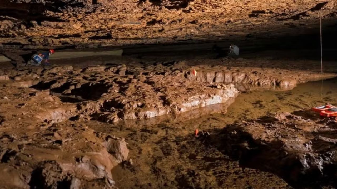 Peixe sem olhos descoberto em uma caverna do Alabama mede menos de 5 centímetros, possui diferenças genéticas profundas e recebeu um gênero exclusivo.