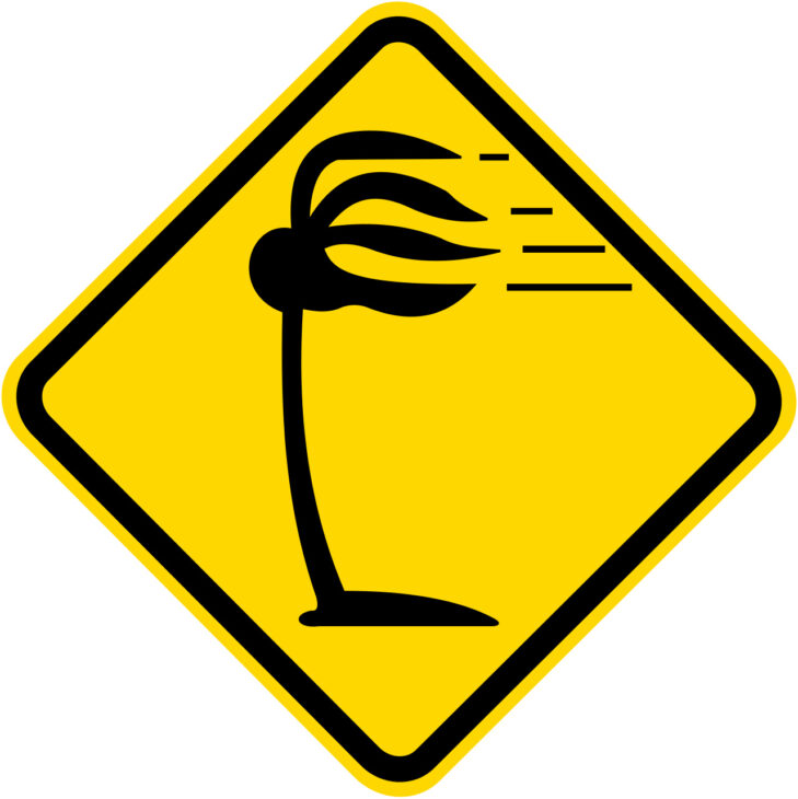 The A-44 sign uses the drawing of a windsock to warn about strong crosswinds on bridges and viaducts. Credit: Reproduction / Sinal Center.