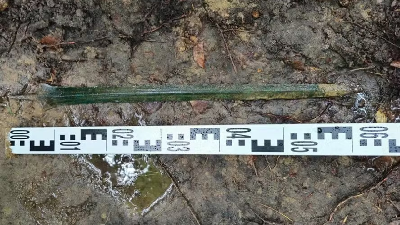 Understand the ritual hypotheses and the historical value of the new 2,700-year-old bronze sword found vertically embedded in a forest in Poland.