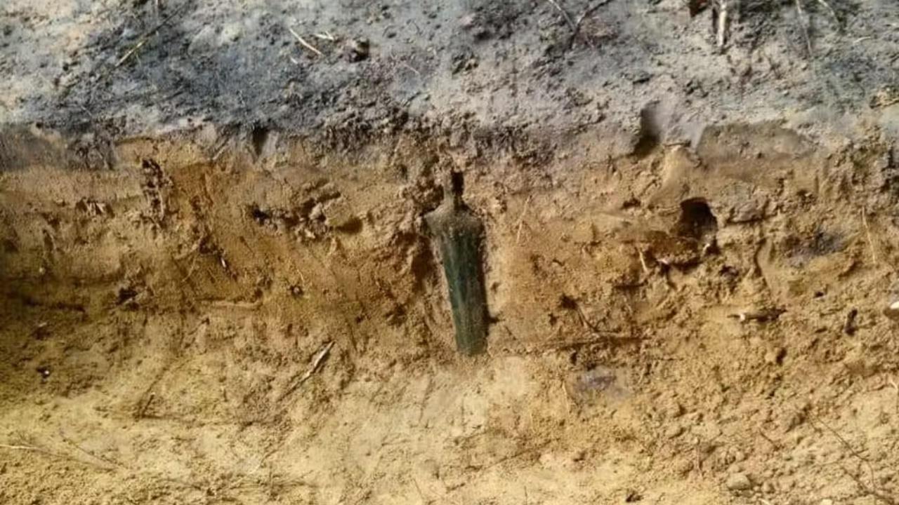 Understand the ritual hypotheses and the historical value of the new 2,700-year-old bronze sword found vertically embedded in a forest in Poland.