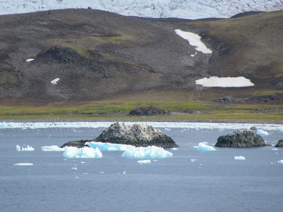 The greening of Antarctica is real: moss has grown 10x on the Antarctic Peninsula with global warming, and melting threatens sea levels. Understand.
