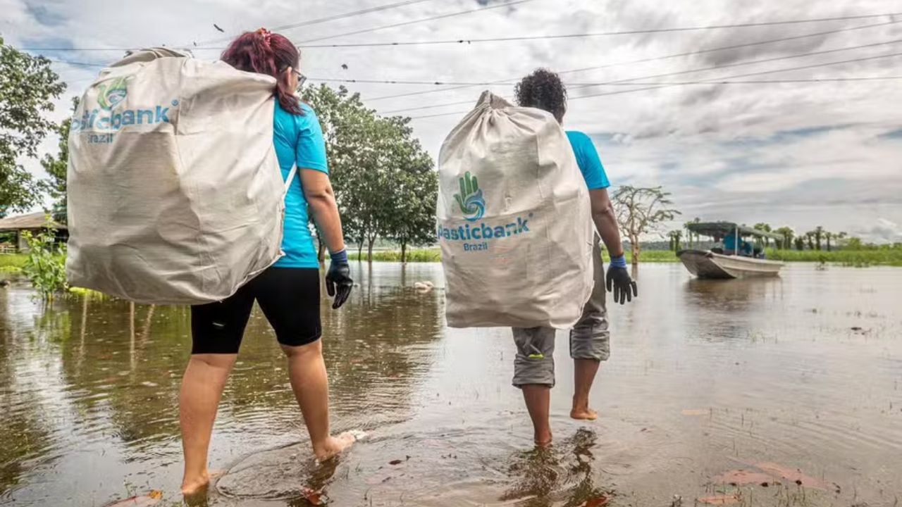 Descubra como a profissionalização da reciclagem com apoio internacional tem gerado renda, formalização de empregos e impacto ambiental positivo no Brasil.