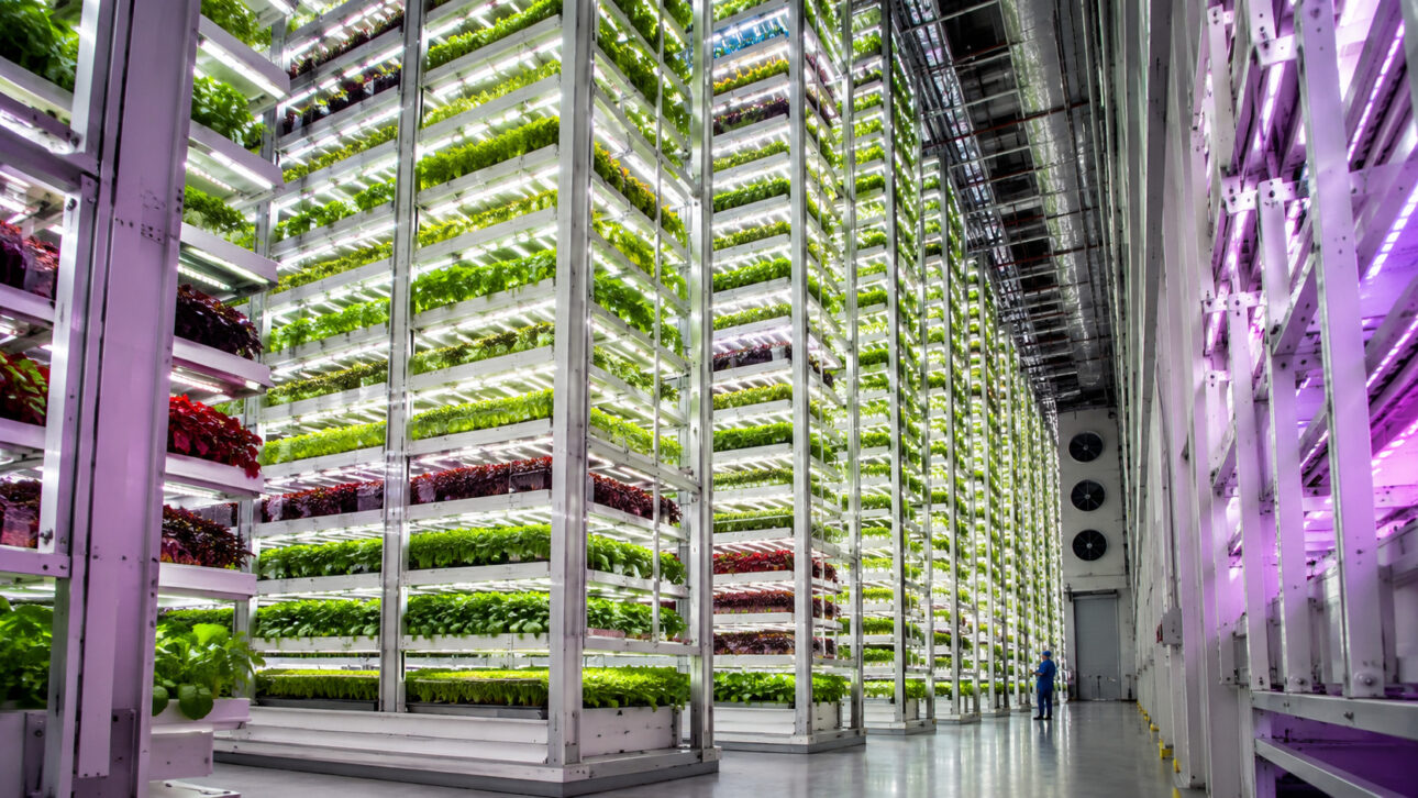 Dubai created a giant vertical farm in the desert with 330,000 square feet