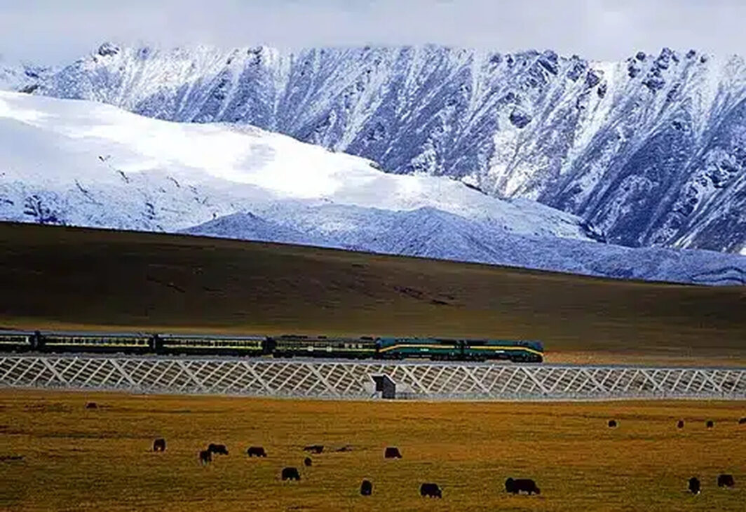 Trem da Ferrovia Qinghai–Xizang cruza área de grande altitude no planalto tibetano, cercado por montanhas cobertas de neve.