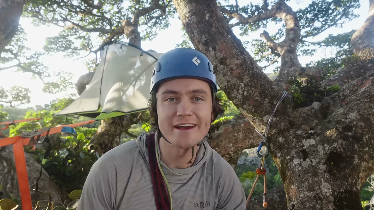 Adventurer climbed a giant strangler fig alone in Costa Rica and slept in the canopy: see the climb and the biology of this nature tree.