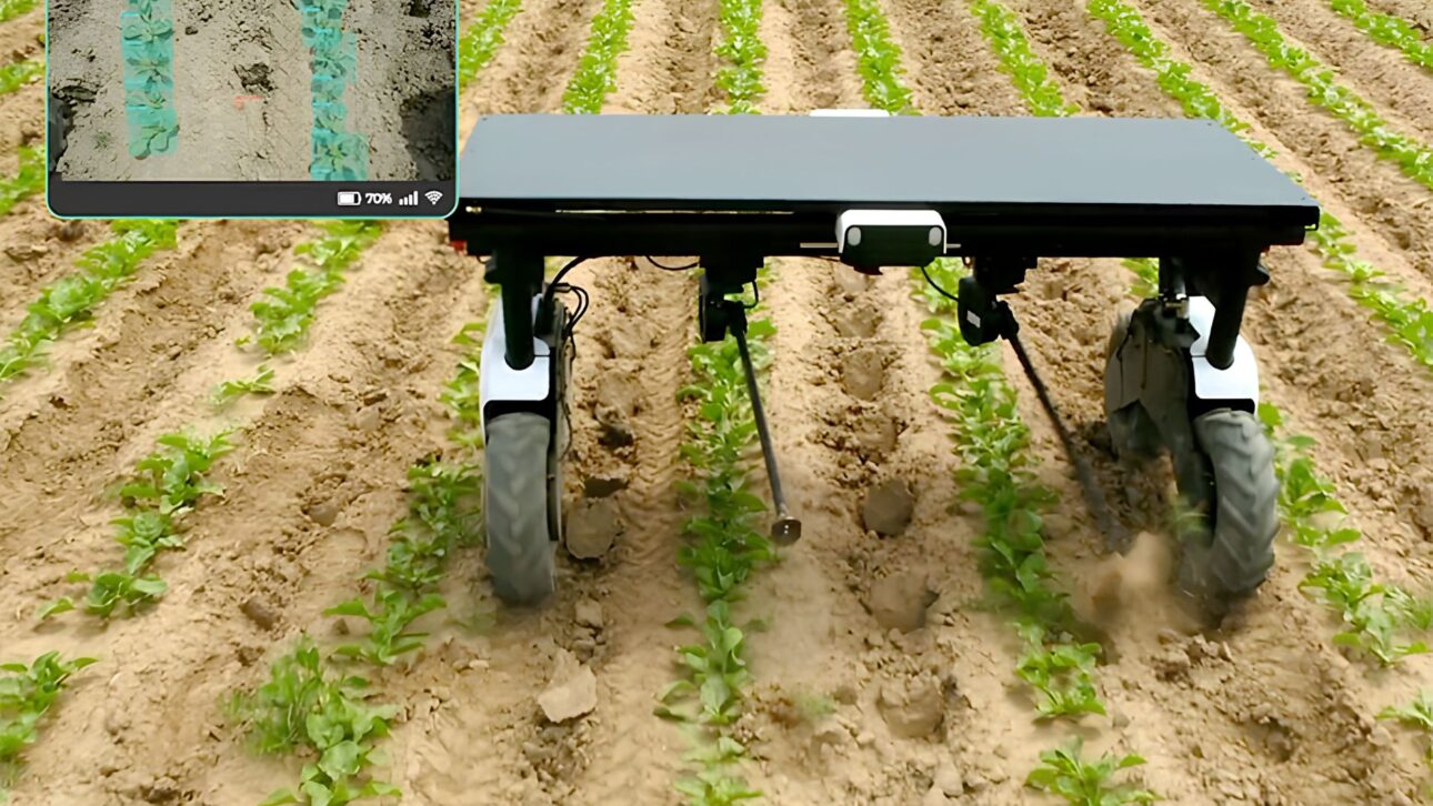 Aigen coloca robôs solares com IA para capinar sem herbicida, ampliar a precisão no campo e enfrentar ervas daninhas resistentes.