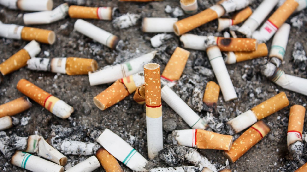 Project in the Netherlands receives cigarette butts for food and aims to recycle 1 million filters to produce a bench or garden set.