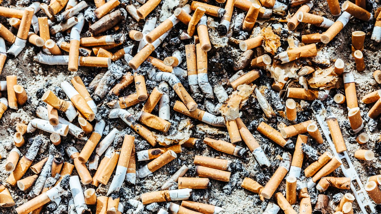 Project in the Netherlands exchanges cigarette butts for food and aims to recycle 1 million filters to produce a bench or garden set.