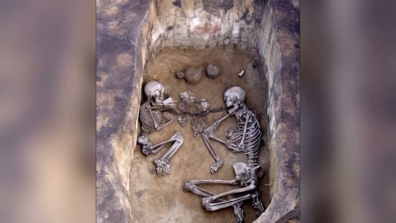 Homo sapiens de 100 mil anos foi esfaqueado no rosto em caverna de Israel e virou o registro mais antigo de violência humana; entenda o caso Qafzeh 25.