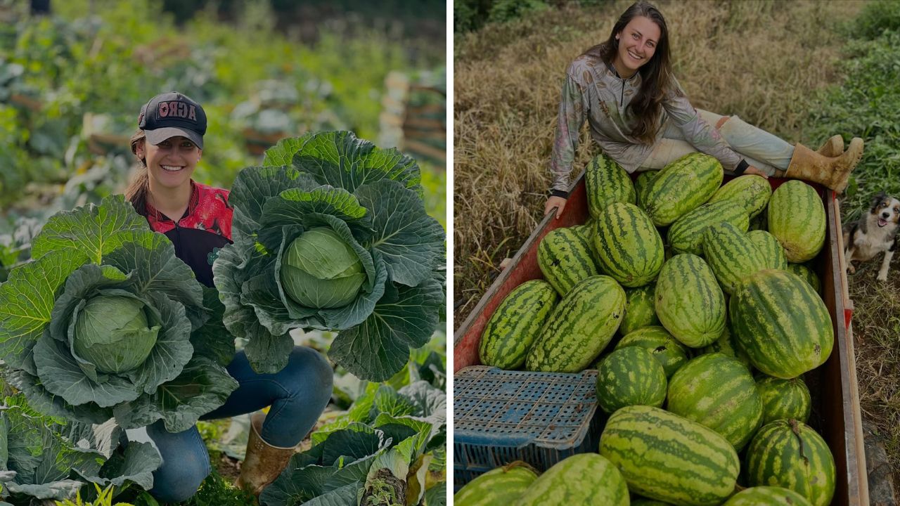 Jovem influenciadora Jamila Brambilla mostra a rotina rural no Espírito Santo e usa as redes para valorizar o trabalho no campo.