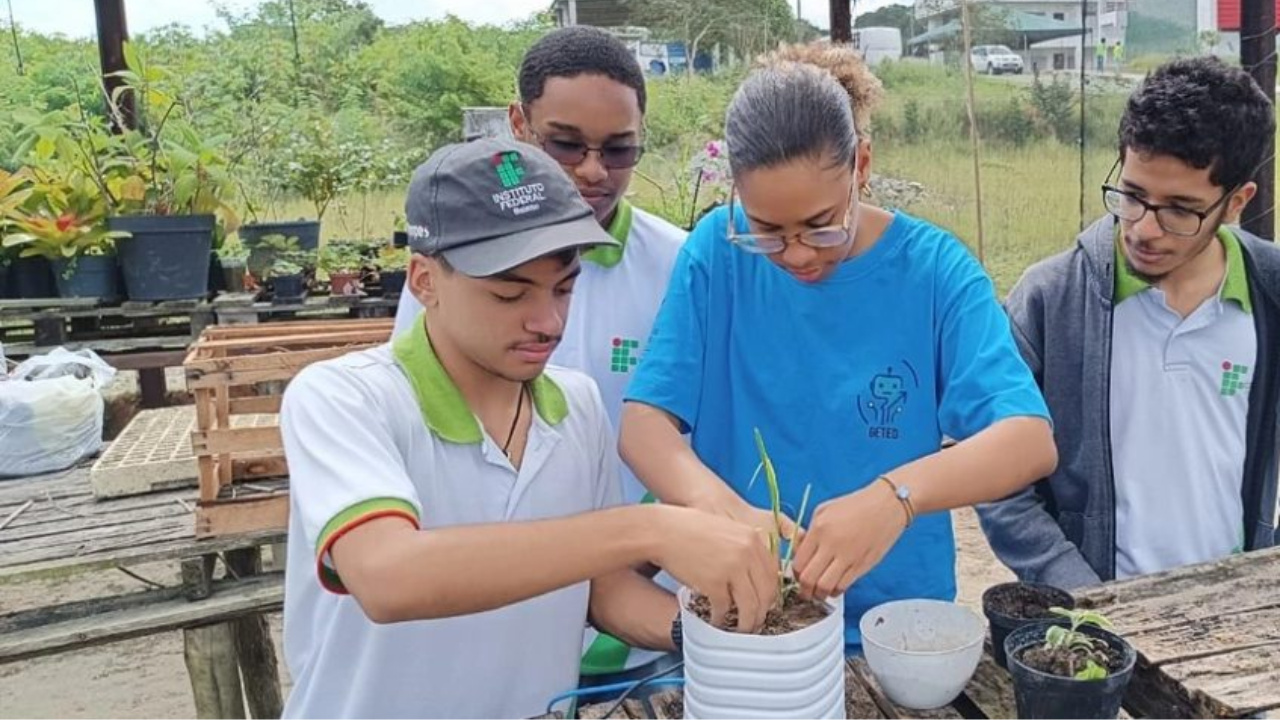 Learn about the procedures and journey of the IF Baiano students who created BioLuz, an innovative low-cost bioelectricity system.
