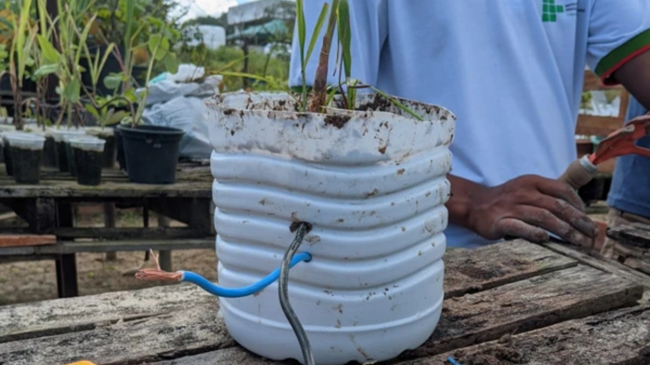 Learn about the procedures and the journey of the IF Baiano students who created BioLuz, an innovative low-cost bioelectricity system.