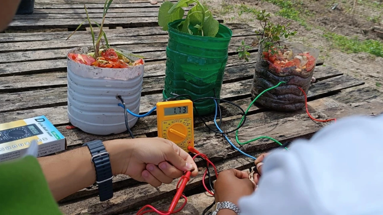 Discover the processes and journey of the IF Baiano students who created BioLuz, a low-cost innovative bioelectricity system.