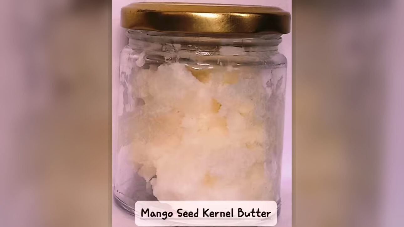 Researchers in India have created a hydrogel made from discarded mango pits that absorbs up to 400% of water and can help farmers in dry regions.