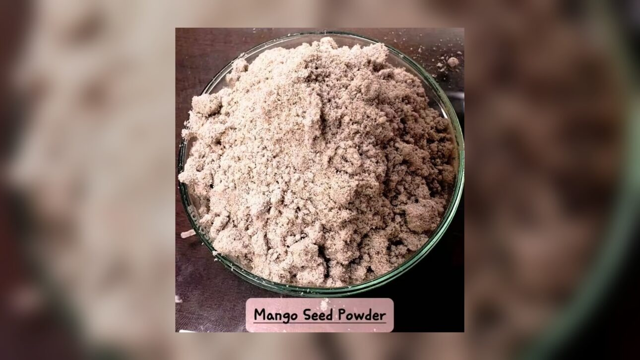 Indian inventors transform mango seed into hydrogel
