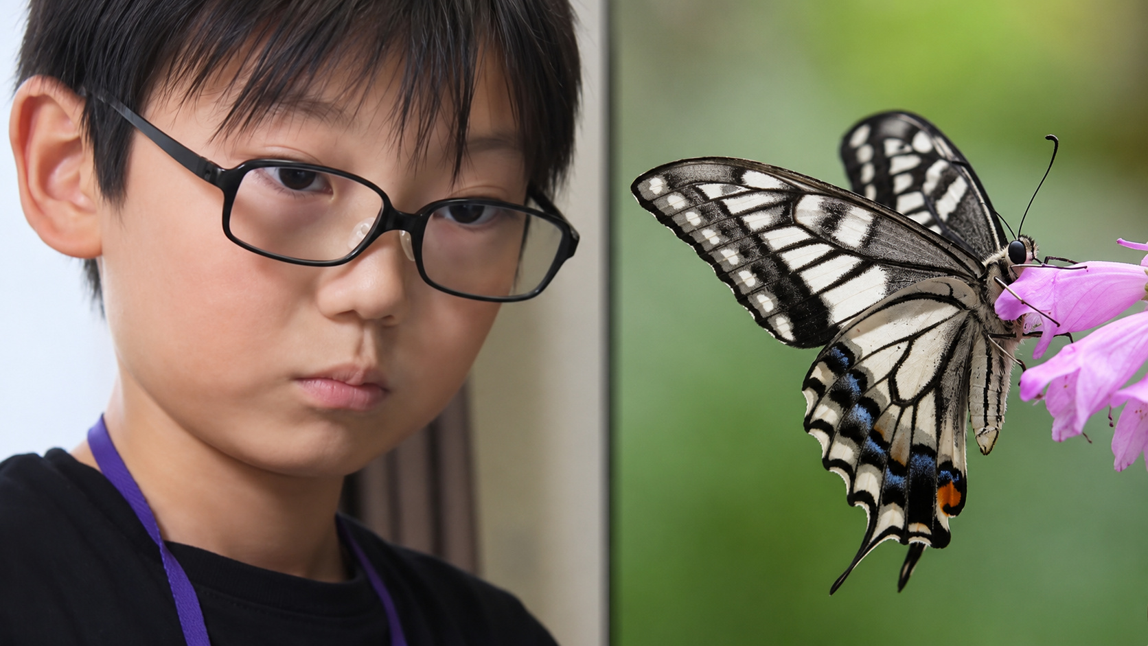 Menino de 10 anos apresenta pesquisa sobre memória em borboletas para cientistas durante congresso internacional.