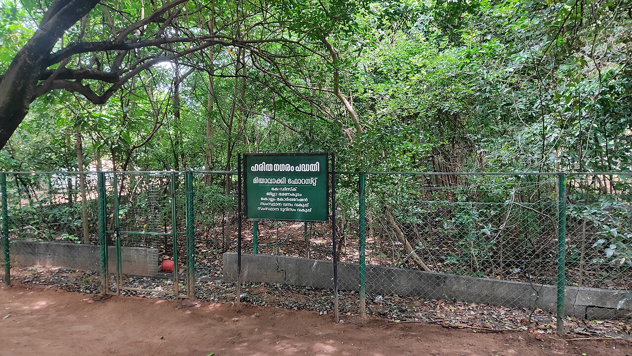 A forest created by the Miyawaki method, dense and green, a few months after the ultra-dense planting of native species in a small plot. Credit: Wikimedia Commons