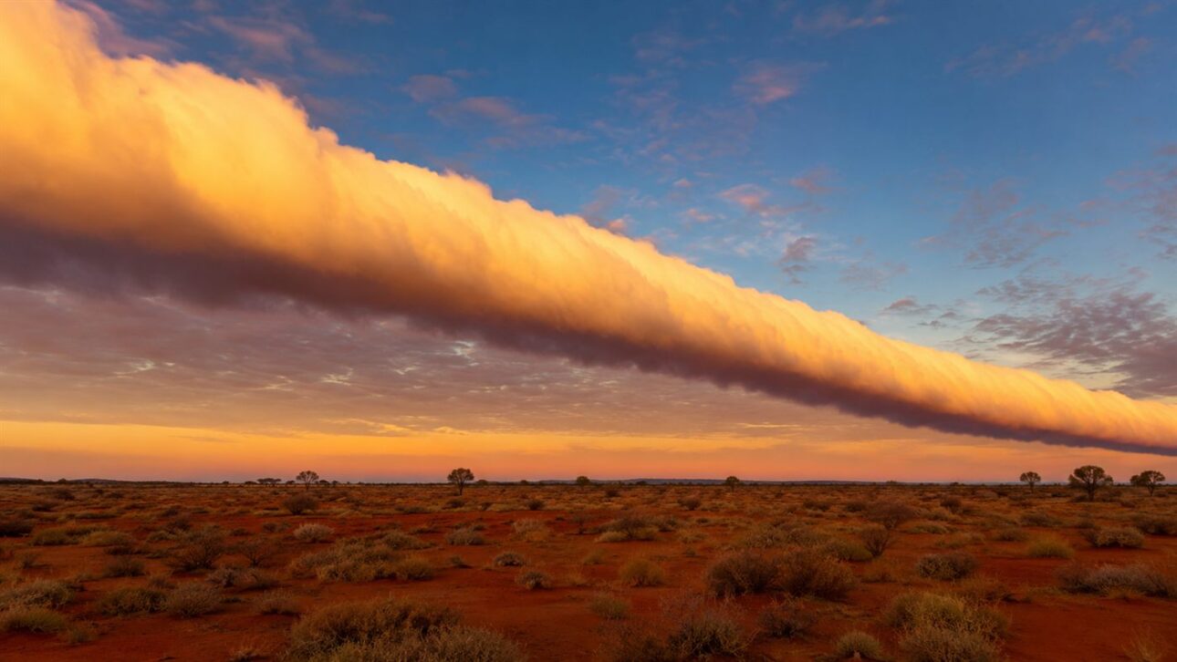 Morning Glory: a tube-shaped cloud of hundreds of km crosses northern Australia almost at the right time, and pilots from around the world travel just to surf it