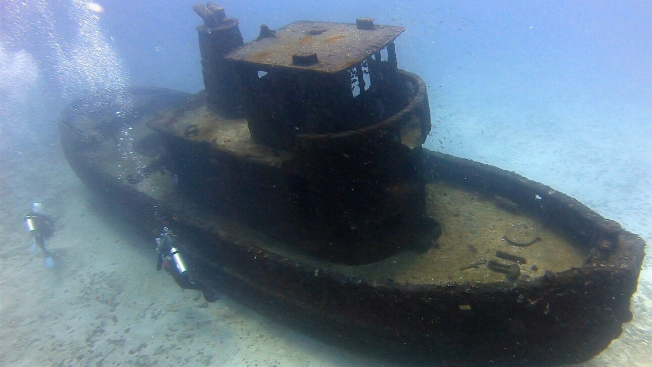 Rebocador afundado que integra o Parque Artificial de Naufrágios de Pernambuco, hoje tomado por vida marinha no litoral de Recife. (Foto: Reprodução)