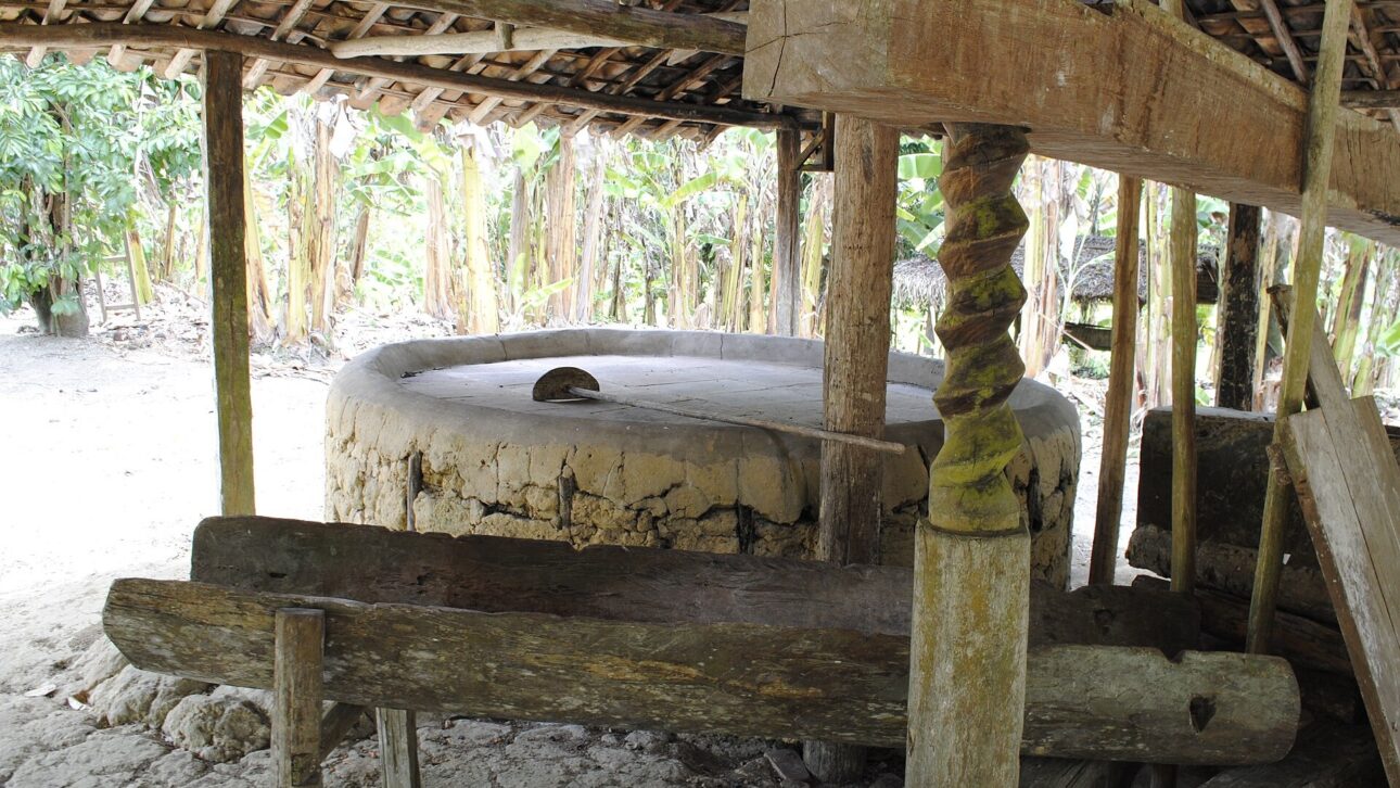 Known as Nelita da Farinha, Barbara Loiola runs a flour production in Acajutiba (BA) that has become a heritage and accompanies every day in the field.
