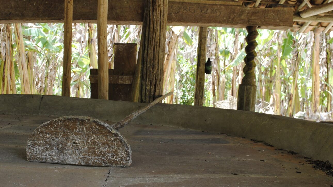 Known as Nelita da Farinha, Barbara Loiola leads a flour production in Acajutiba (BA) that has become a heritage and follows every day in the field.