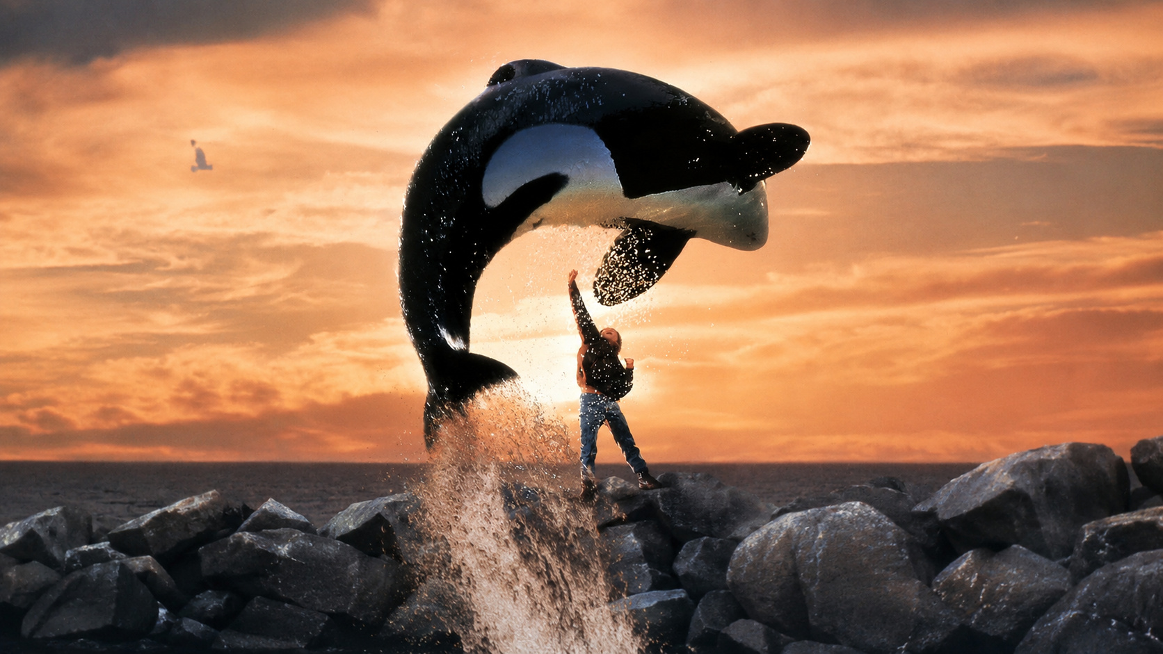 Orca salta sobre o oceano ao pôr do sol enquanto uma criança estende a mão em uma cena inspirada na história de Keiko, a estrela do filme Free Willy.