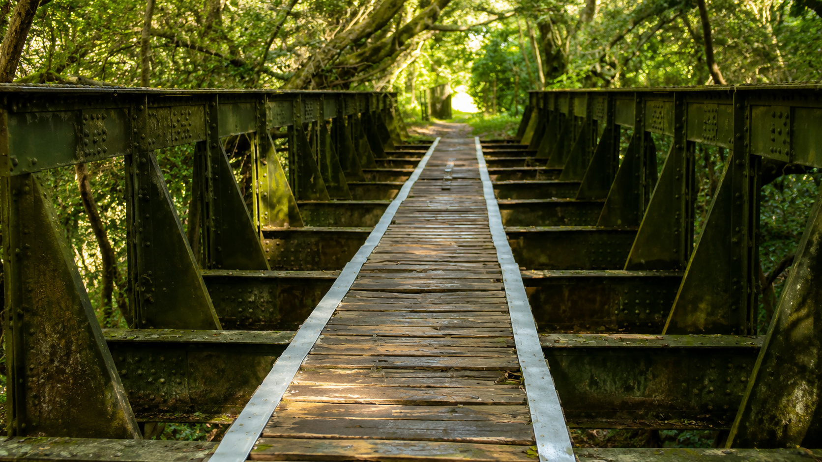 Ponte ferroviária histórica de aço cercada por mata nativa em área rural de Minas Gerais, semelhante à estrutura que desapareceu de Prados e foi encontrada em Lima Duarte.