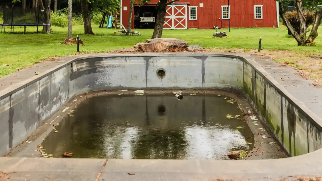 Família compra casa histórica da década de 1830 na Pensilvânia, encontra piscina abandonada “cheia de cobras” no quintal e decide gastar US$ 15,5 mil para transformar o problema em um jardim funcional
