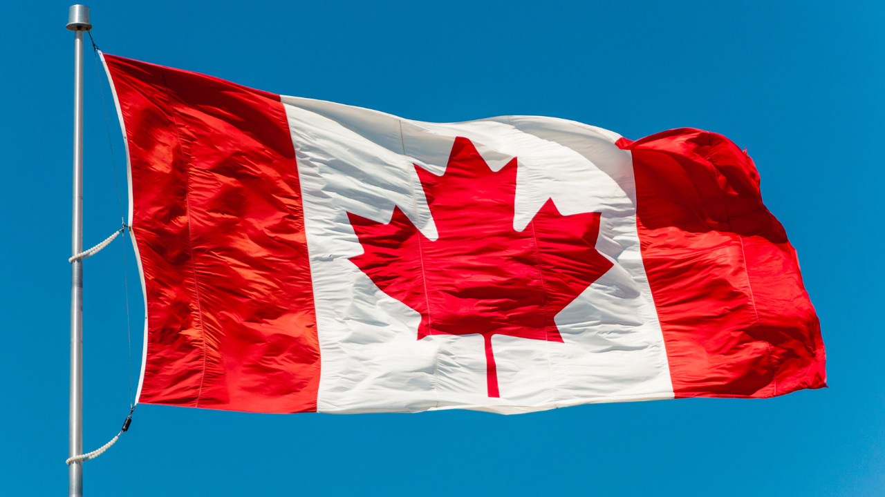 Compreenda como a engenharia gráfica e a busca pela neutralidade política definiram o desenho icônico da folha da bandeira do Canadá com suas 11 pontas.