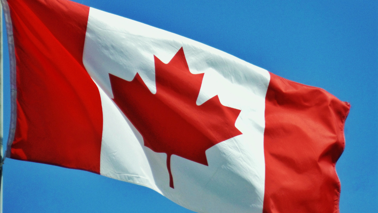 Compreenda como a engenharia gráfica e a busca pela neutralidade política definiram o desenho icônico da folha da bandeira do Canadá com suas 11 pontas.
