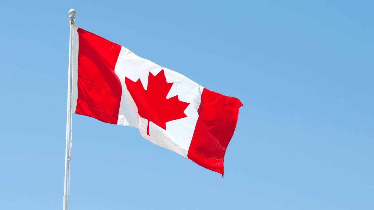 Compreenda como a engenharia gráfica e a busca pela neutralidade política definiram o desenho icônico da folha da bandeira do Canadá com suas 11 pontas.