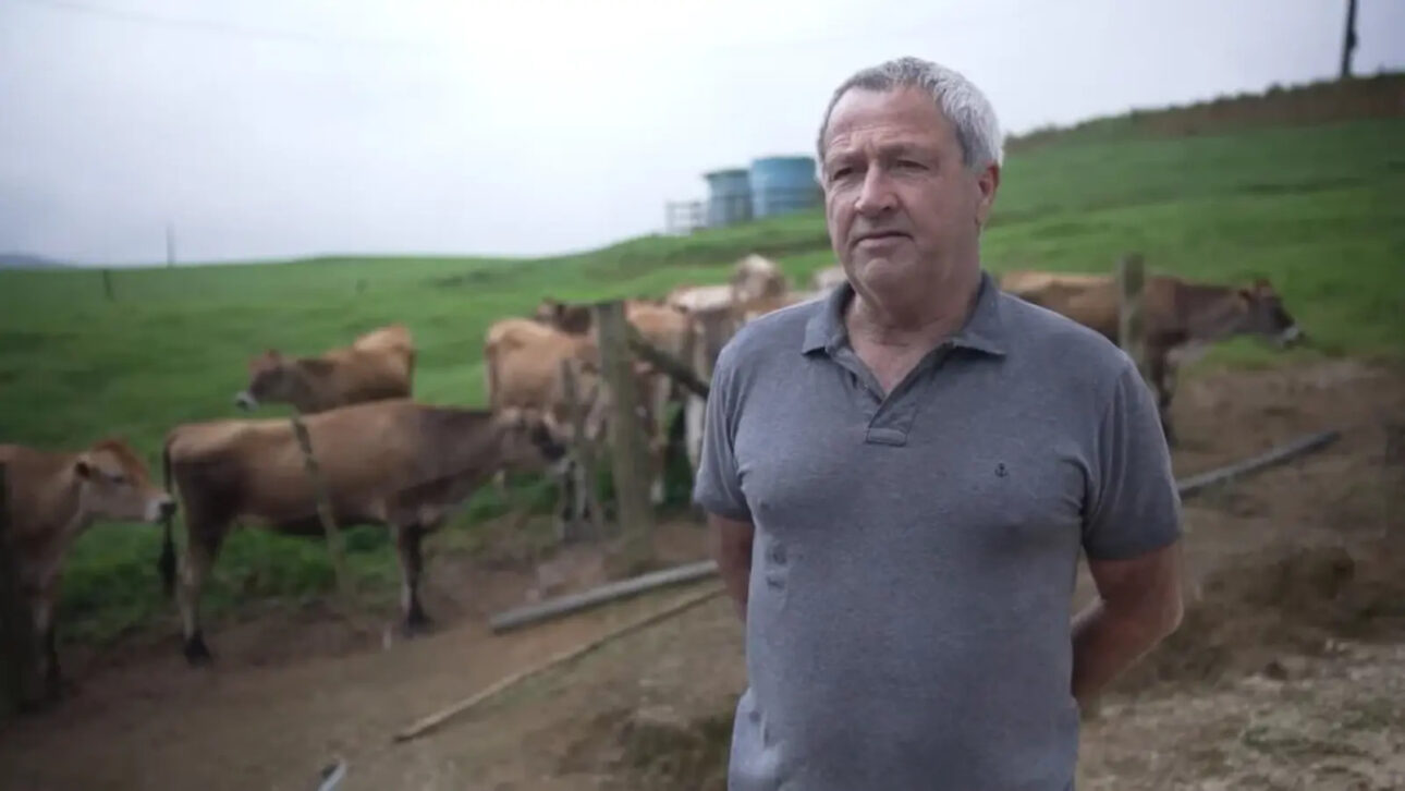 Produtor precisou abater quase todo o rebanho de 82 vacas por tuberculose bovina, fez vazio sanitário, deu a volta por cima com ajuda de indenização e agora voltou a produzir 450 litros de leite por dia em SC