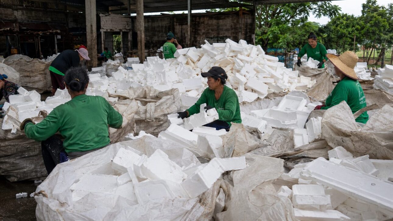Una red de puntos de recolección y cooperativas de recolectores alimenta el reciclaje del poliestireno expandido