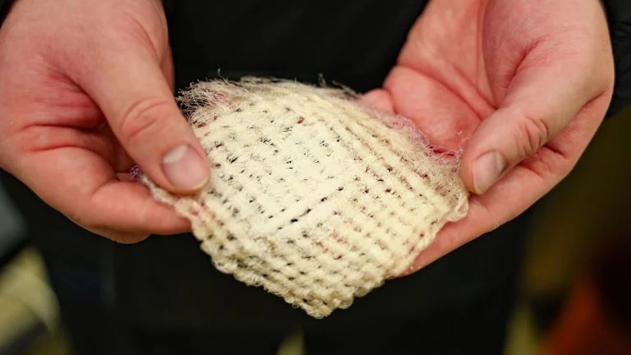 jaqueta água