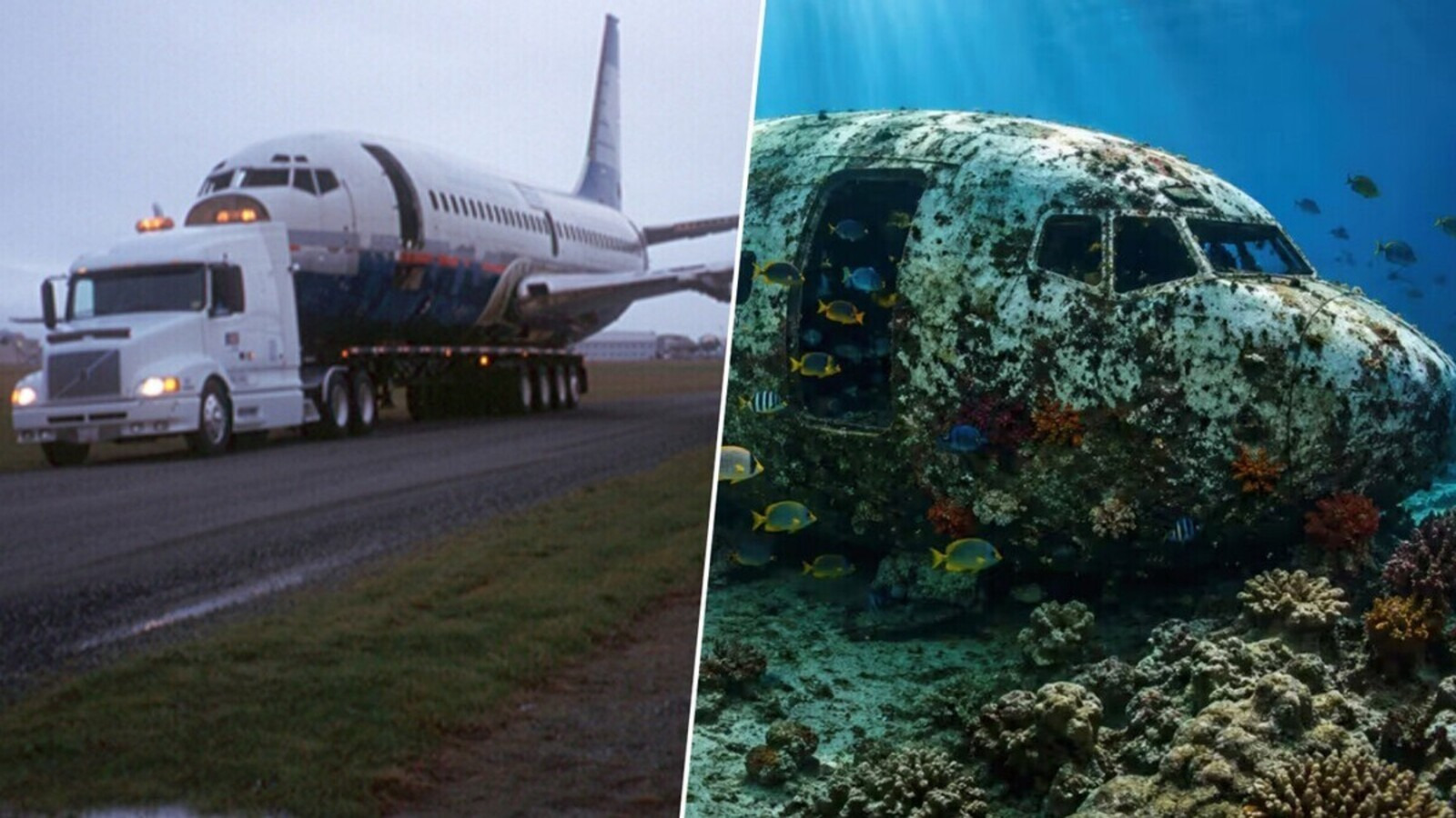 Boeing gigante vira recife no fundo do mar no Canadá