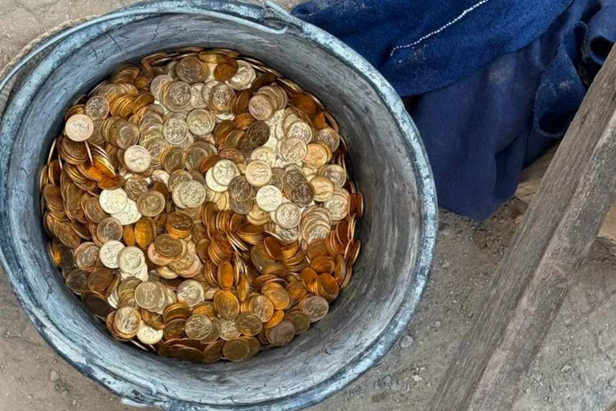Operário de 18 anos encontrou 49 barras e 4 mil moedas de ouro avaliadas em € 9 milhões durante reforma na Bélgica; autoridades investigam o dono.