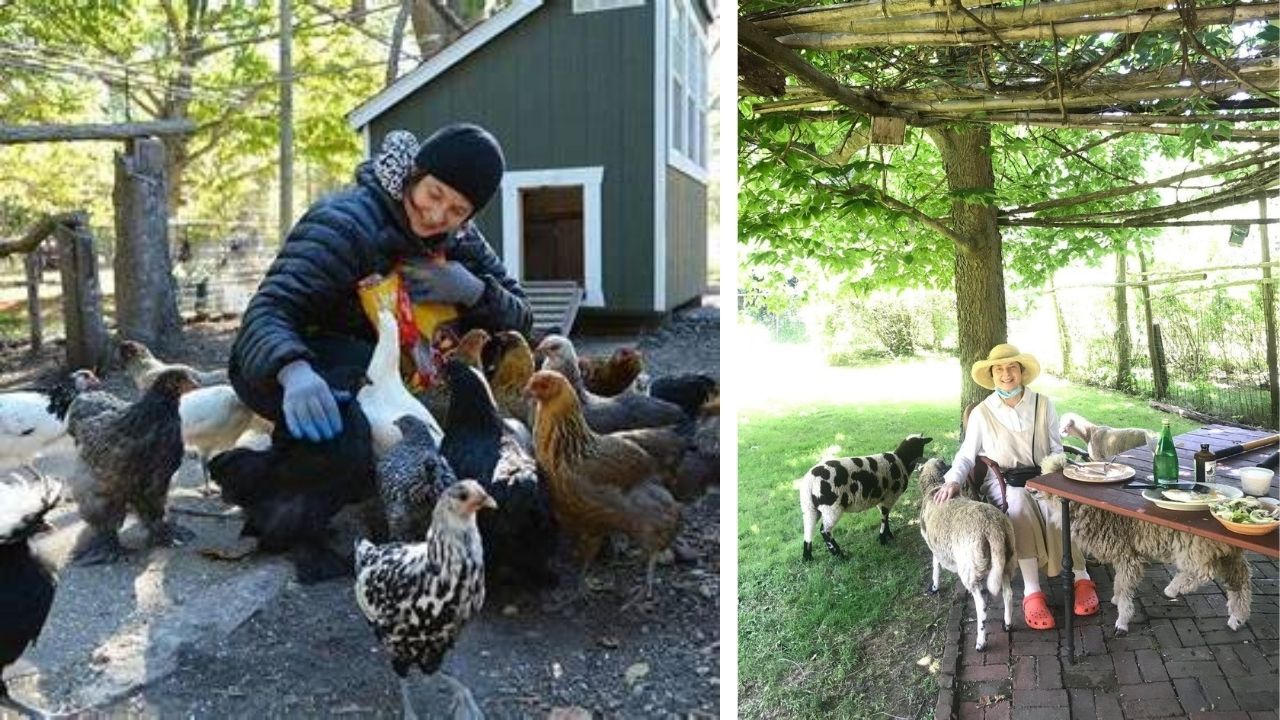 Isabella Rossellini mantém fazenda em Long Island contra avanço imobiliário e transforma a área em projeto dedicado à biodiversidade.