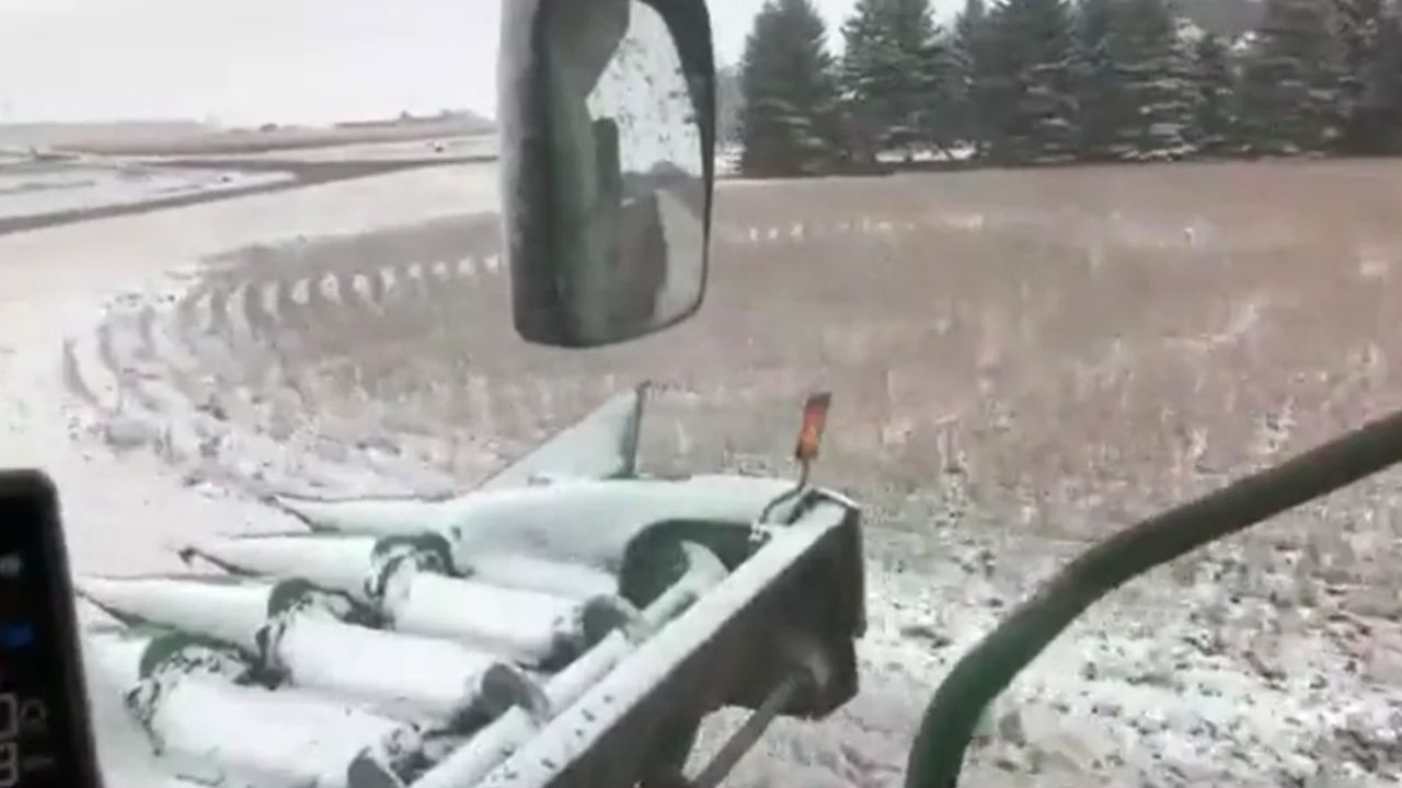 Colheitadeira enfrenta neve em Minnesota durante colheita de soja nos Estados Unidos e mostra por que frio extremo manteve a operação.