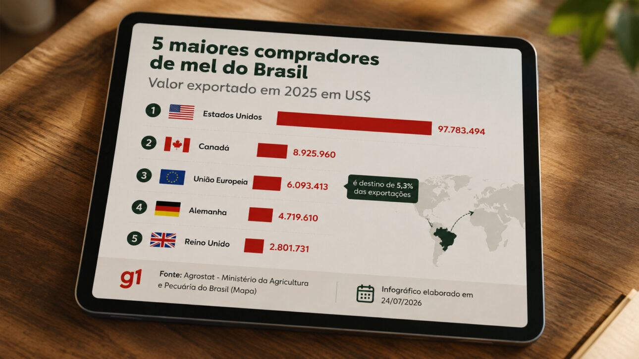 Infográfico mostra Estados Unidos, Canadá, União Europeia, Alemanha e Reino Unido entre os maiores compradores de mel do Brasil em 2025.
