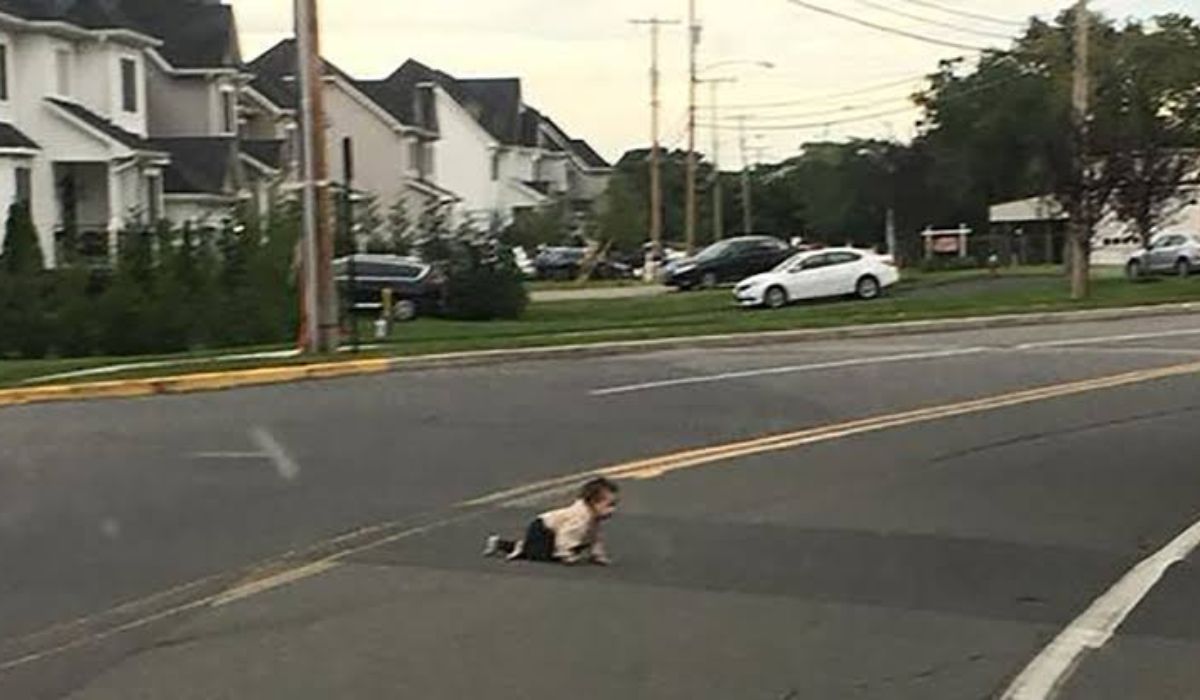 Bebê de 10 meses engatinha sozinho pela Joe Parker Road, em Lakewood, Nova Jersey, pouco antes de ser retirado da via por pessoas que pararam o trânsito .Crédito: Cortesia de Cory Cannon / ABC News.
