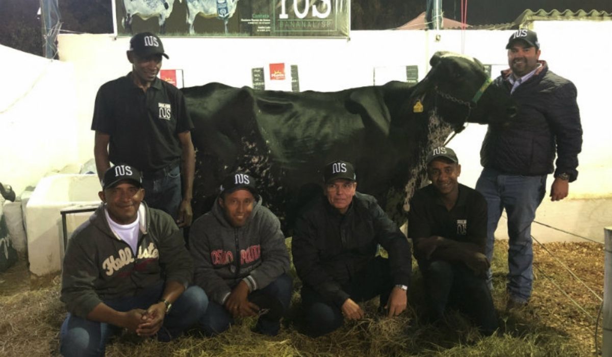 Marília FIV Teatro de Naylo, vaca brasileira reconhecida pelo Guinness após produzir 123,61 litros de leite em 24 horas durante torneio em Areias (SP). Crédito: Guinness World Records/Divulgação.